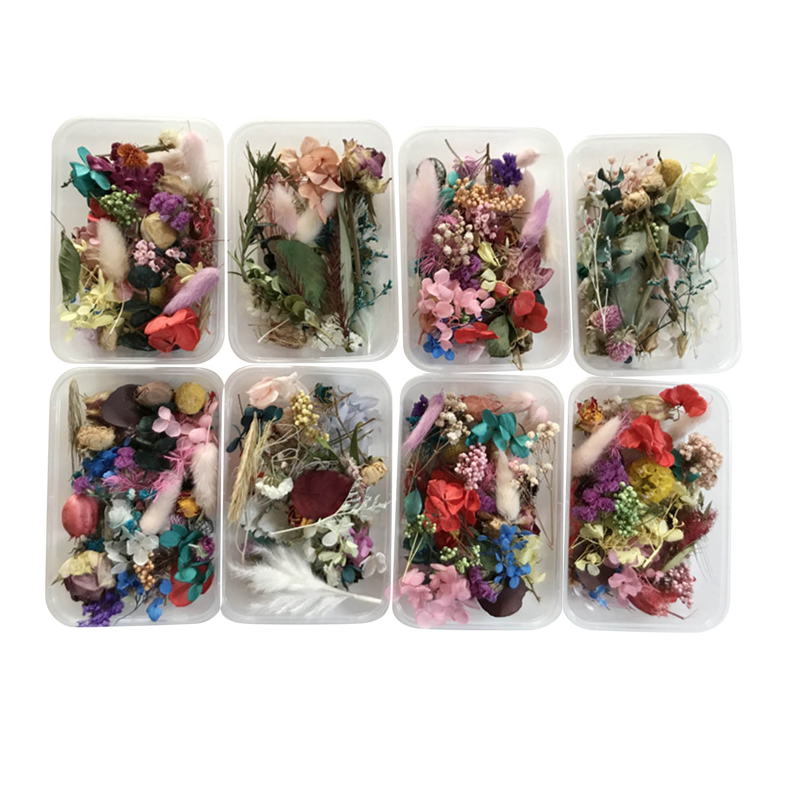 Natural Dried Flower Kit Press - Dried Herbs recension och pris