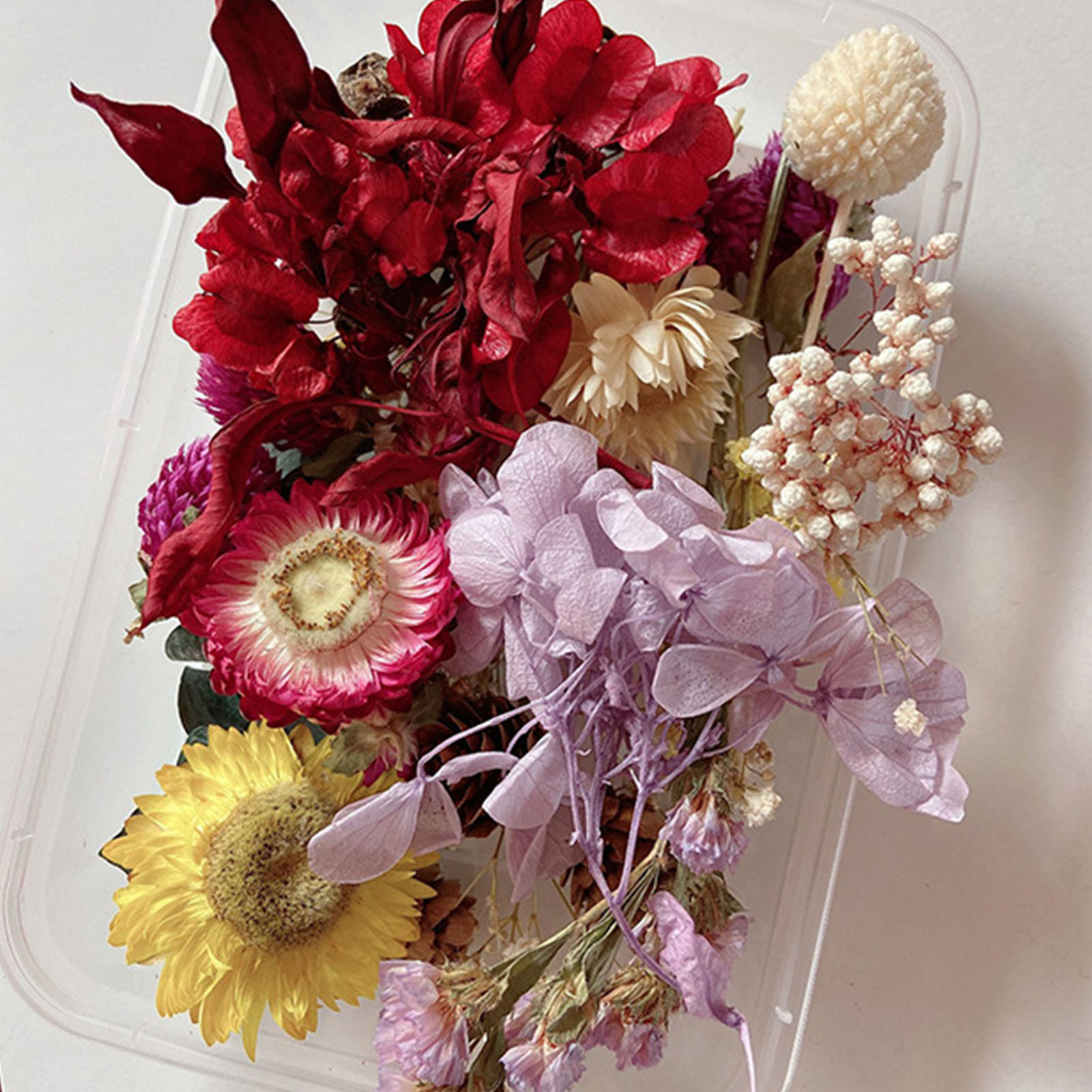Natural Dried Flower Kit Press - Dried Herbs recension och pris