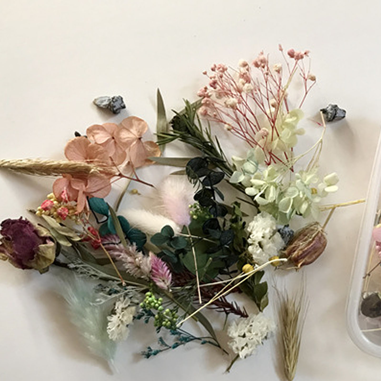 Natural Dried Flower Kit Press - Dried Herbs recension och pris
