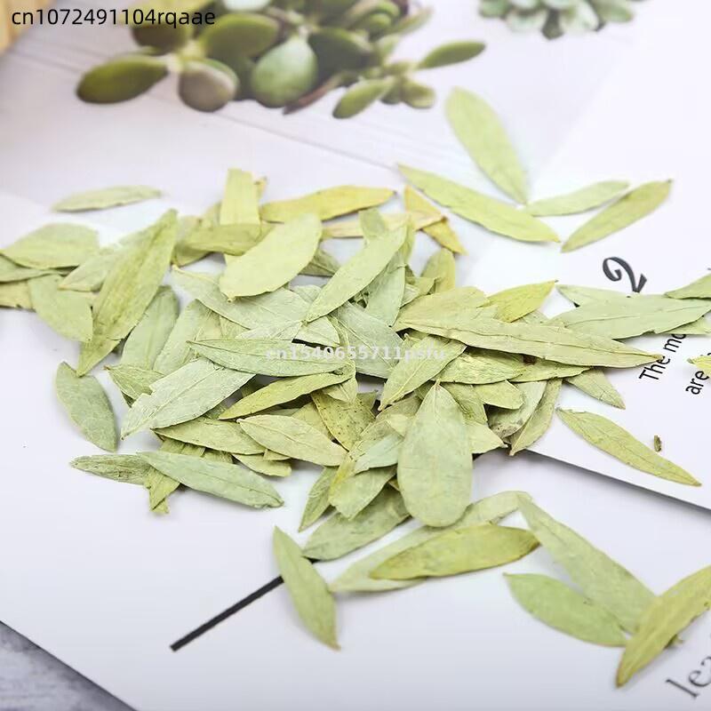 Premium Organic Senna Leaves & - Dried Herbs recension och pris